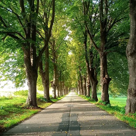 Fischstuebchen Neeberg 1 - Hase Und Fuchs * Krummin