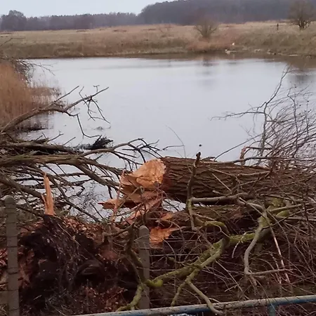 Fischstuebchen Neeberg 1 - Hase Und Fuchs Krummin