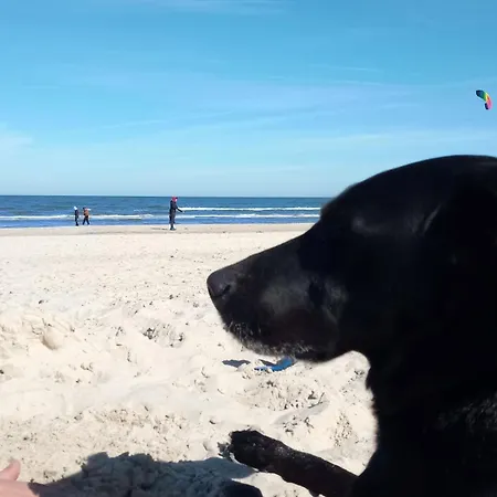 Fischstuebchen Neeberg 1 - Hase Und Fuchs Krummin